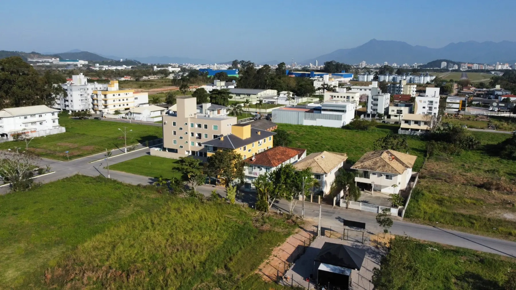 Figueira Velha