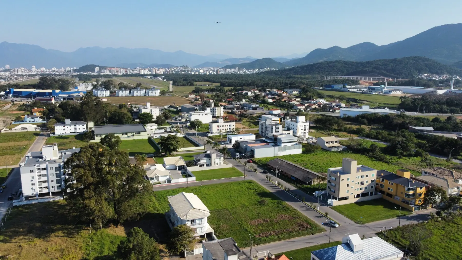 Figueira Velha · foto 2